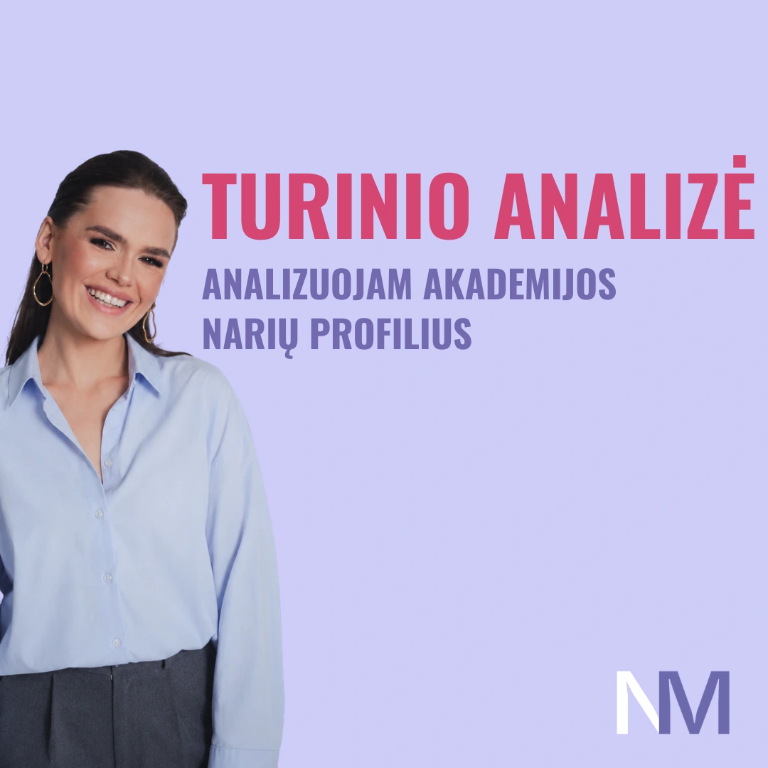 Turinio analizė